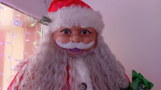 В Самарской области завёлся Санта-аферист