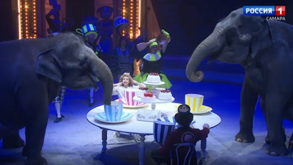 В Самару приехали легендарные слоны династии Корниловых 