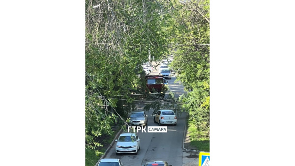 На Тихвинской в Самаре дерево рухнуло на проезжую часть