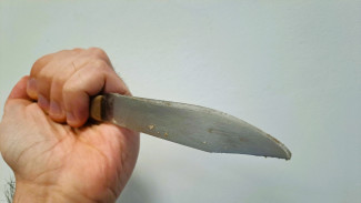 Жителя Самары подозревают в убийстве товарища по застольям