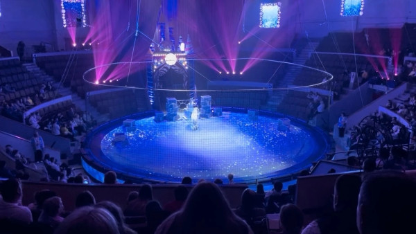 Реконструкция Самарского цирка начнется в 2026 году