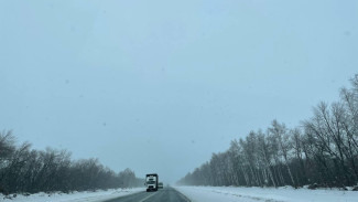 В Самарской области сняли ограничение на федеральной трассе М-5 «Урал» 