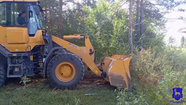 Под Самарой обнаружили новый урожай наркосодержащих мака и конопли
