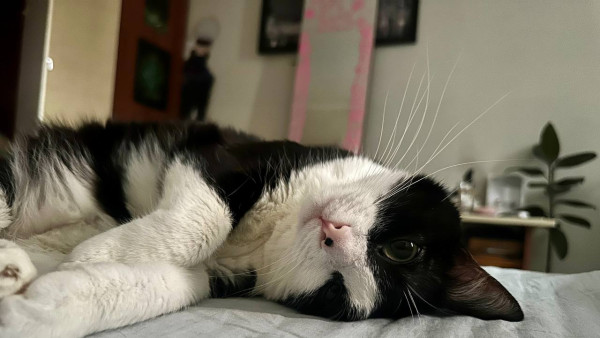 Врач В.Литвинов рассказали самарцам, как недостаток сна может привести к диабету и ожирению