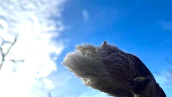 Лунный календарь на 18 апреля: астрологи рассказали, что негативно повлияет на здоровье