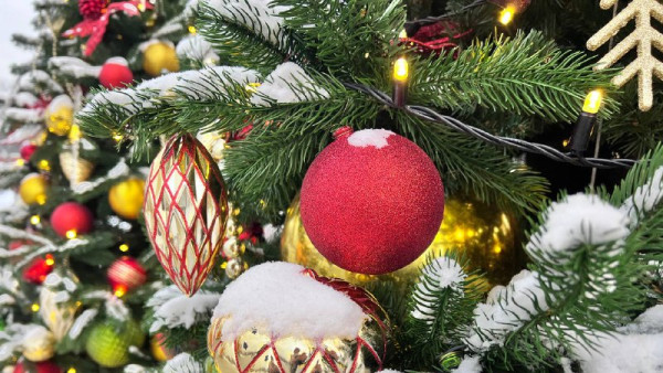 Самарский педиатр Светлана Гаршина рассказала, как уберечь ребенка от ОРВИ в новогодние праздники 