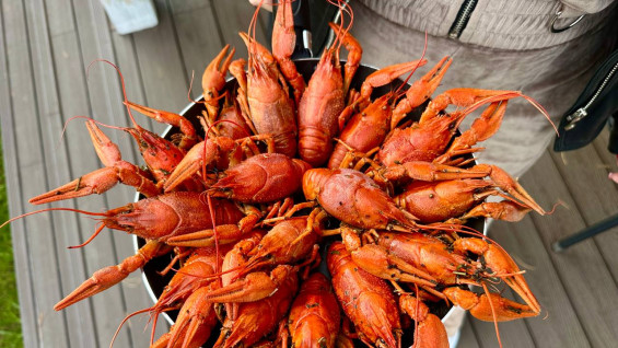 В Самаре местный житель незаконно выловил полторы тысячи раков