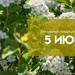 Народные приметы: 5 июня. Почему в день Левона Огуречника нельзя мыть голову