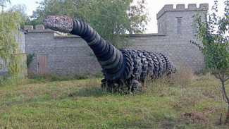 За первую неделю в Самаре в новый "Экопункт" сдали 250 кг шин