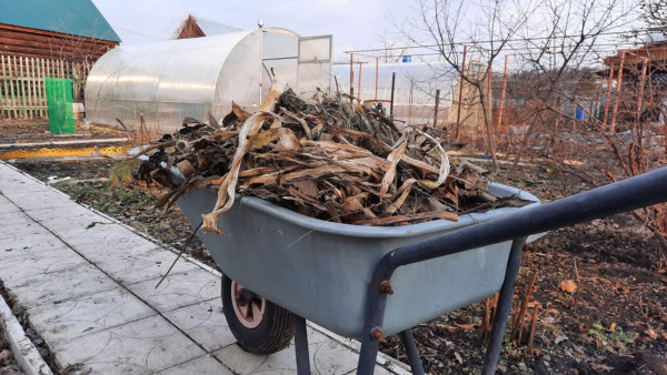 В Самаре стартовали дачные перевозки 20 апреля