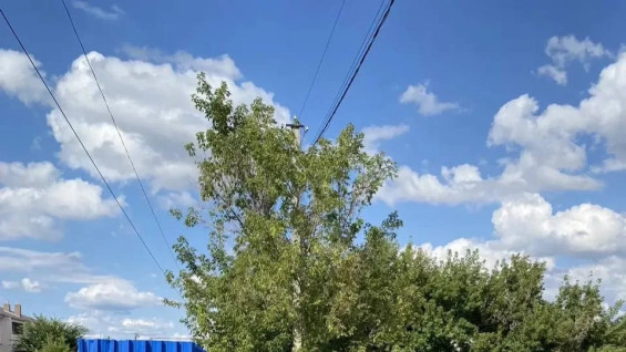Проблему мусорного коллапса в одном из сел Самарской области не смогли решить без вмешательства прокуратуры  