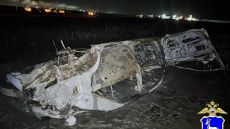 В Тольятти в Toyota Camry заживо сгорели 35-летний водитель и его пассажир