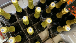 В Самаре утилизировали более 2 тысяч литров алкоголя