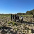 В Самарской области прошла массовая облава на нелегальных мигрантов