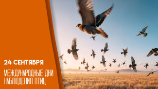 24 сентября — Международные дни наблюдения птиц: история, традиции и приметы пернатого населения планеты