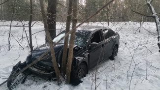 Чудом избежали смерти: в Самарской области автомобилист улетел в кювет и врезался в дерево