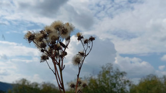 Народные приметы: 20 сентября. Не делайте этого в день Луки, чтобы не накликать беду 