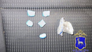 В Самарской области задержали местного жителя с крупной партией наркотиков