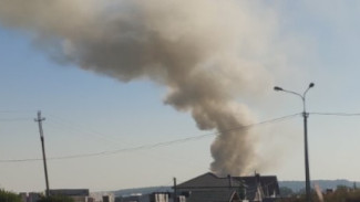 В Самарской области загорелся полигон, где ищут тело Виктора Тархова