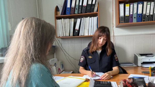 В Волжском районе произошли массовые кражи с придомовых территорий