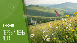 Пepвый дeнь лeтa 2025: поздравления и открытки для соцсетей