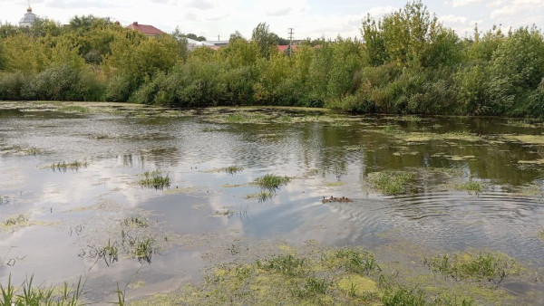 В Самарской области очистят реки и озёра в ближайшие 5 лет