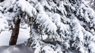В Самарскую область придет аномальное похолодание до - 21°C