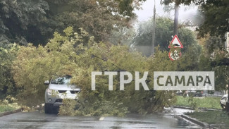Дерево рухнуло на легковой автомобиль 7 сентября в Самаре