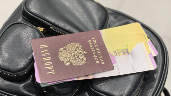 Стало известно, когда в Самарской области появятся электронные паспорта 