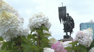 Город цветущей гортензии: Вера Глухова подарила городу 100 новых растений 