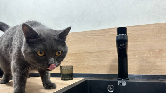 9 улиц Самары временно останутся без воды 15 февраля