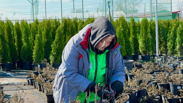 Самарским дачникам рассказали об опасности апрельских заморозков