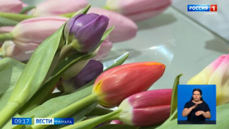 Цветочный этикет: флористы раскрыли секреты языка цветов