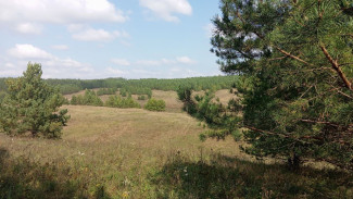 МЧС продлило высокий уровень опасности в Самарской области до 25 сентября