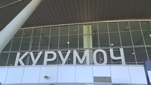 В самарском аэропорту перехватили 320 партий растительной продукции с вредителями