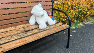 Доследственная проверка в Чапаевске: ответственность родителей под вопросом