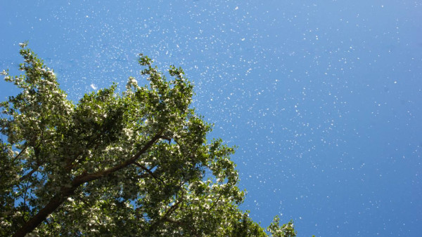 Самарцам рассказали, как пережить жару без вреда для здоровья