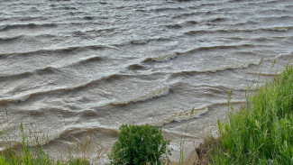 В озере Белом в Самаре утонул 40-летний мужчина