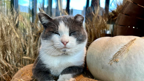+7°C и солнце: синоптики порадовали прогнозом на выходные в Самаре
