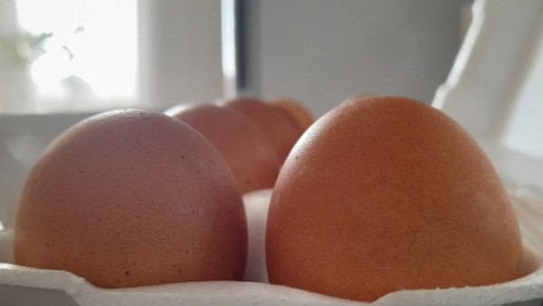 В Самару могут завезти турецкие и азербайджанские куриные яйца