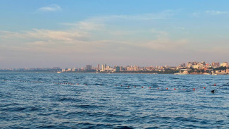 Температура воды в Волге у берегов Самары прогрелась до рекордных отметок