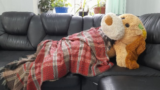 Самарцам рассказали, когда ждать следующих длинных каникул