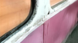 Мэрия Самары рассказала о свежести в салонах трамваев