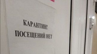 В Самаре ввели карантин из-за кипрской лихорадки