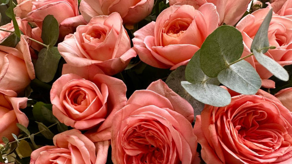 Самарцам начали распространять опасные открытки на 8 Марта