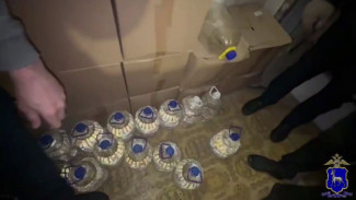 В Самарской области полиция выявила 2,9 тыс. литров подпольного спирта