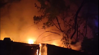 В Самаре вечером 11 мая сгорели надворные постройки на Аксакова