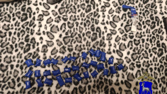 Житель Самарской области предстанет перед судом за попытку сбыта наркотиков