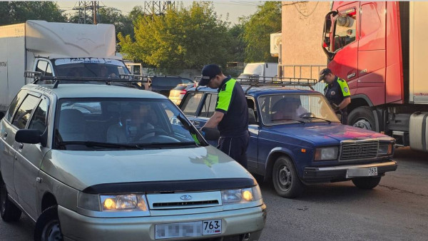 В Самаре две мигрантки прятались от полиции в траве 