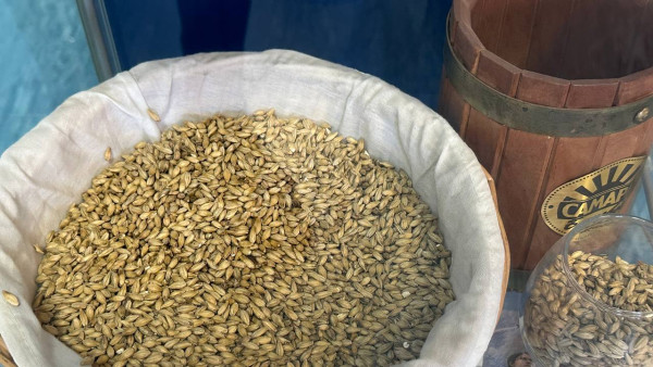 В Самарской области с 2027 года изменятся правила, определяющие понятие "пиво"